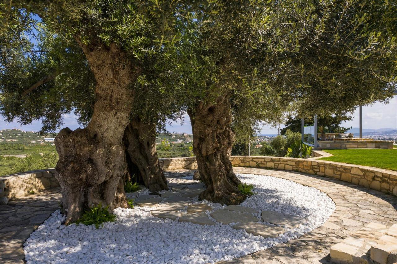 Olivenest Chania Executive Villa Perivólia Exteriör bild